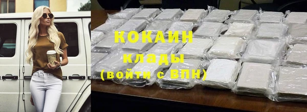 стафф Коряжма
