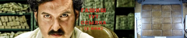стафф Коряжма